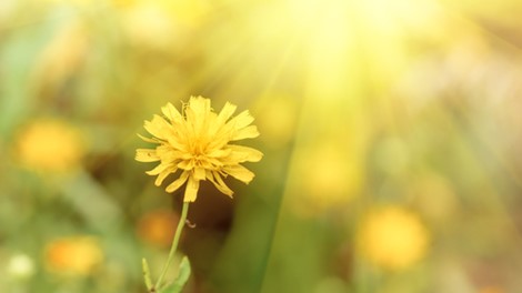 Voordeliger mazout bestellen
